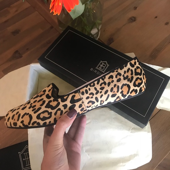 birdies starling cheetah